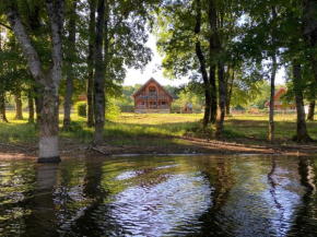 Au bord du lac IV